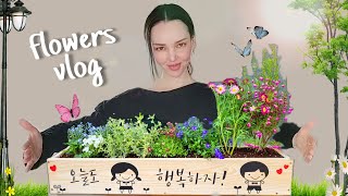 Весенний влог  Высаживаю цветы  KOREA VLOG [upl. by Sydel]