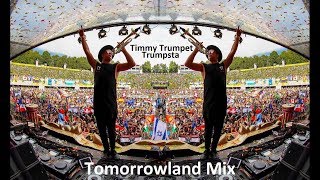 Timmy Trumpet  Trumpsta Tomorrowland Mix 2017 [upl. by Porett624]