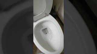 Simple Quick Cheap Easy Toilet wont flush all the way FIX [upl. by Nirrol]