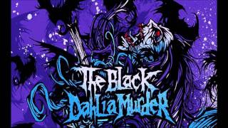 John Kempainen The Black Dahlia Murder  Lead Compilation [upl. by Keven924]