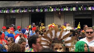 Mardi Gras Day 2020 in the French Quarter New Orleans Louisiana [upl. by Teddy]