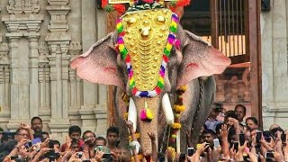 Kaanthaa Njaanum Varaam  Thrissur Pooram Song 2018 2019 [upl. by Ambler]