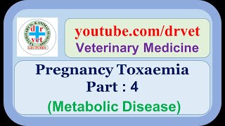 Pregnancy Toxaemia Part 4 [upl. by Asp]