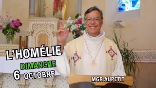 Homélie de Mgr Aupetit  dimanche 6 oct 24 [upl. by Hudis]