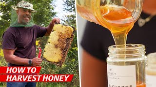 How a Family Business Became One of Americas Best Natural Honey Vendors — Vendors [upl. by Tterag]