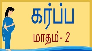 Pregnancy  Tamil  Month 2  கர்ப்பம் மாதம் 2 [upl. by Noah146]