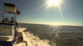 Suwannee River Redfish [upl. by Gladis394]