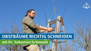 Obstbäume richtig schneiden [upl. by Erotavlas]