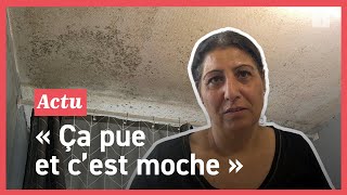 Moisissure et infiltrations deau pourrissent la vie des habitants de ces logements sociaux à Vannes [upl. by Latimore]