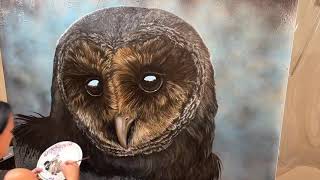 Melanistic barn owl timelapse by Angela Bawden [upl. by Nehemiah]