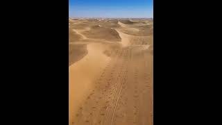 Planting trees in desert shorts viralvideo trending [upl. by Grussing938]