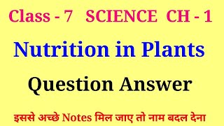 nutrition in plants class 7 questions and answers  class 7 science chapter 1 question answer [upl. by Heimer]