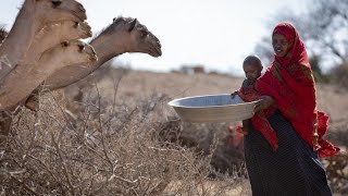 La sécheresse menace la corne de l’Afrique [upl. by Viva]