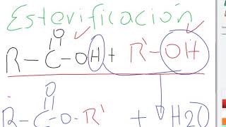 Esterificación de alcoholes explicación detallada [upl. by Natsuj]