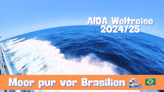 Meer pur vor Brasilien 🇧🇷🛳️  AIDA Weltreise 202425 [upl. by Eivlys]