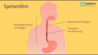 Chronische Entzündung der Speiseröhre  Eosinophile Ösophagitis Arzt erklärt [upl. by Okubo]