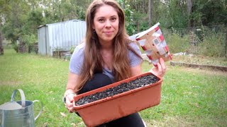 How To Do Hugelkultur Gardening In Containers [upl. by Godber319]