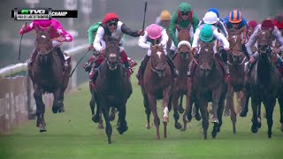 RACE REPLAY 2015 Prix de lArc de Triomphe featuring Golden Horn and Treve [upl. by Lina54]