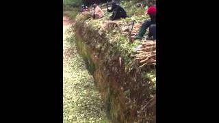 How to make silage manually [upl. by Oivaf]