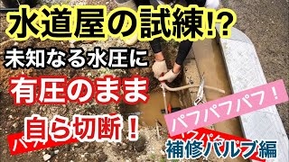 漏水修理【メーター止水栓移動】不断水20mm補修バルブ使用 [upl. by Atthia]