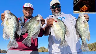 SLAYING SLABS CRAPPIE FISHING ALABAMA [upl. by Orvie]