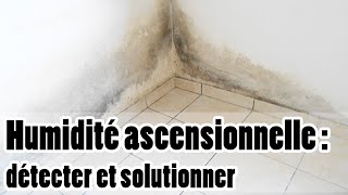 Humidité ascensionnelle  explications identification et solutions [upl. by Jennine]