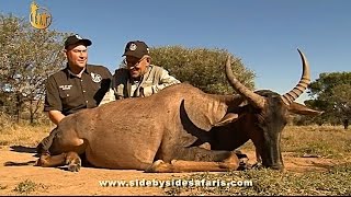 Tsessebe Hunt – Hunting in Africa – Hunting Tsessebe [upl. by Monafo]