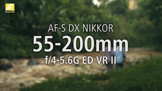 Exploring NIKKOR Lenses Bali with the AFS DX NIKKOR 55200mm f456G ED VR II [upl. by Sucitivel51]