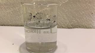 The extraction of microplastics from water using ferrofluids [upl. by Chemosh]