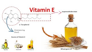 Vitamin E  Source function and deficiency [upl. by Aivatnuhs19]