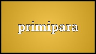 Primipara Meaning [upl. by Anertac4]