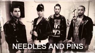 Needles and Pins  Ramonna Ramones Tribute [upl. by Nelo]