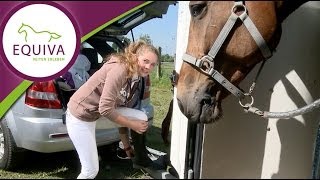 Reiten  Ein Turniertag mit Luisa [upl. by Madancy]