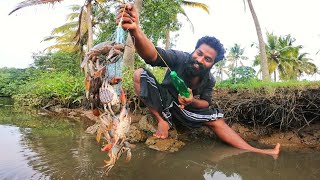 SIMPLEST CRAB TRAP IN THE WORLD  ഞണ്ടിനെ പിടിക്കുന്ന സൂത്രവിദ്യ  M4 TECH [upl. by Stephania]