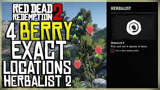 4 DIFFERENT BERRY LOCATIONS  PICK AND EAT 4 SPECIES OF BERRY  HERBALIST 2  RED DEAD [upl. by Humo]