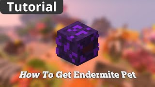 How To Get ENDERMITE PET in Hypixel Skyblock [upl. by Dewey]