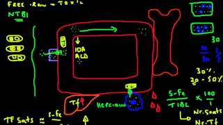 Transferrin Saturation Explained [upl. by Aurelio]