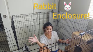 Setting Up My Rabbit Cage [upl. by Bull]