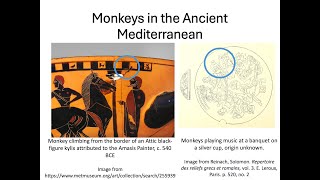 What were monkeys doing in Ancient Greece and Rome [upl. by Annasoh92]