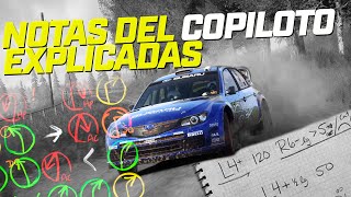 NOTAS del COPILOTO explicadas  DIRT RALLY 20 [upl. by Wickner714]