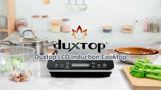 Duxtop Portable Induction Cooktop [upl. by Lidia]