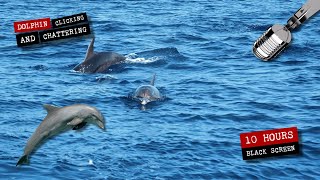 Dolphins clicking and chattering 🐬 10 hours of dolphin sounds [upl. by Rosene]