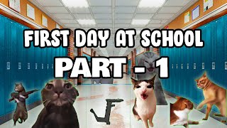 Cat Memes First Day at School Part 1 [upl. by Neenwahs540]