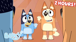 Bluey Seasons 1 2 and 3 FULL EPISODES 💙  Unicorse Faceytalk Pass the Parcel and More  Bluey [upl. by Temme80]