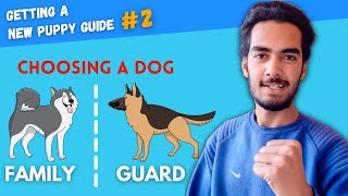 How to Choose the Perfect Dog Breed for Your Lifestyle and Leadership [upl. by Wanids]