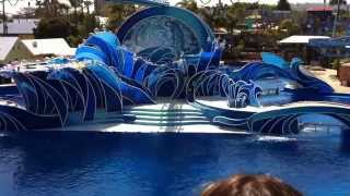 Blue Horizons Dolphin Show at Sea World San Diego California FULL SHOW HD [upl. by Cumine536]