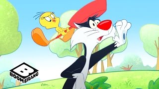 The Looney Tunes Show  Be Polite  Boomerang [upl. by Albur960]