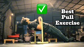 Inverted Row  Australian Pullup  Bodyweight Row Tutorial  Progressions [upl. by Lyrehc271]