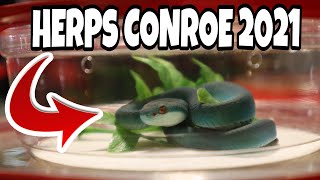 HERPS CONROE REPTILE EXPO 2021 [upl. by Acisej]