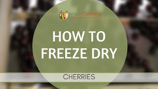 How to Freeze Dry Cherries [upl. by Irwinn365]